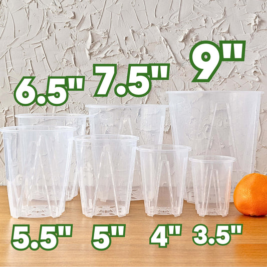 Tall Clear Nursery Pots | Multiple Sizes