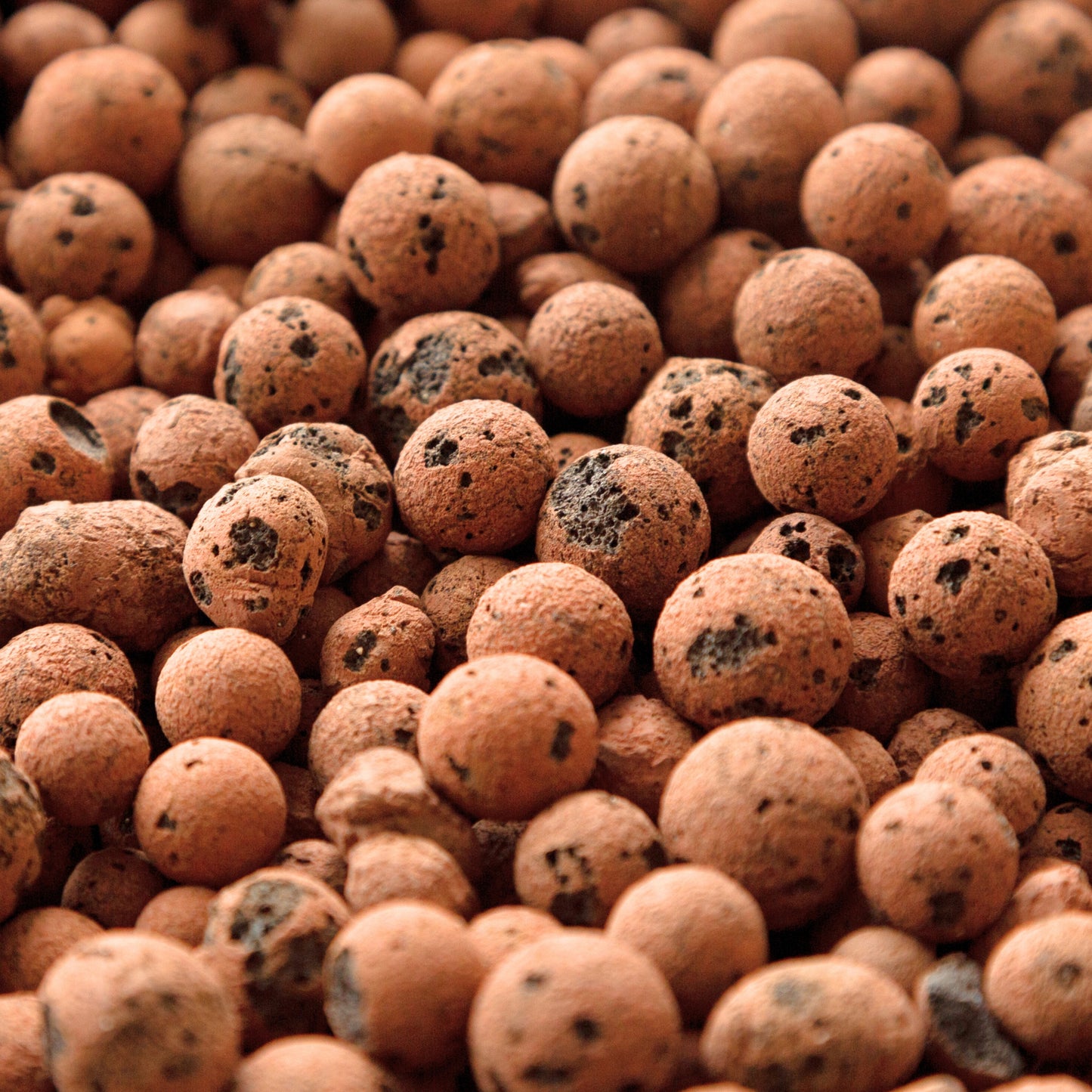 Leca Clay Balls for Plants | Pre-washed to Remove Dust