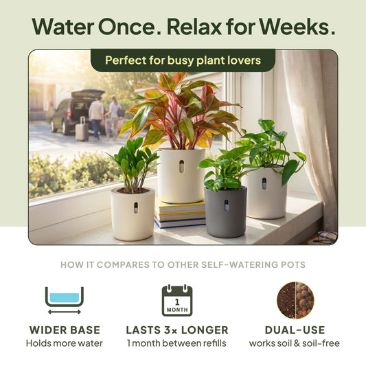 Wavyleaf Self-Watering Planter