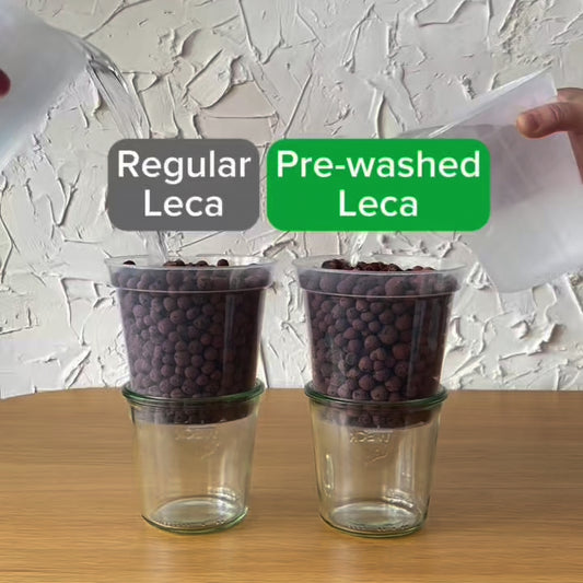 Leca Clay Balls for Plants | Pre-washed to Remove Dust