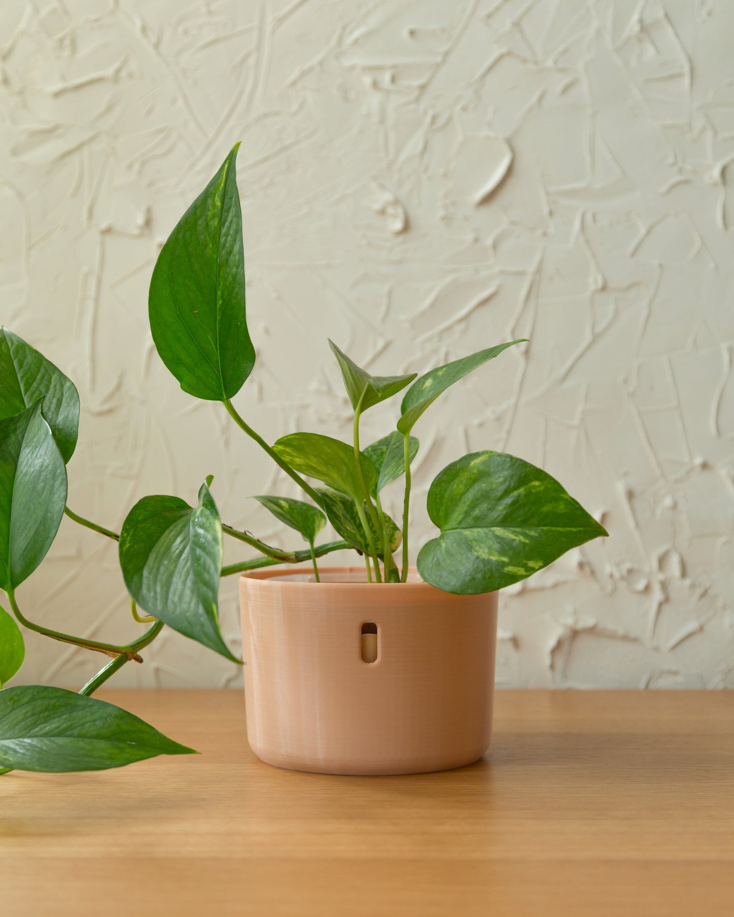 The self watering planter designed to be used with LECA and semi-hydroponics.