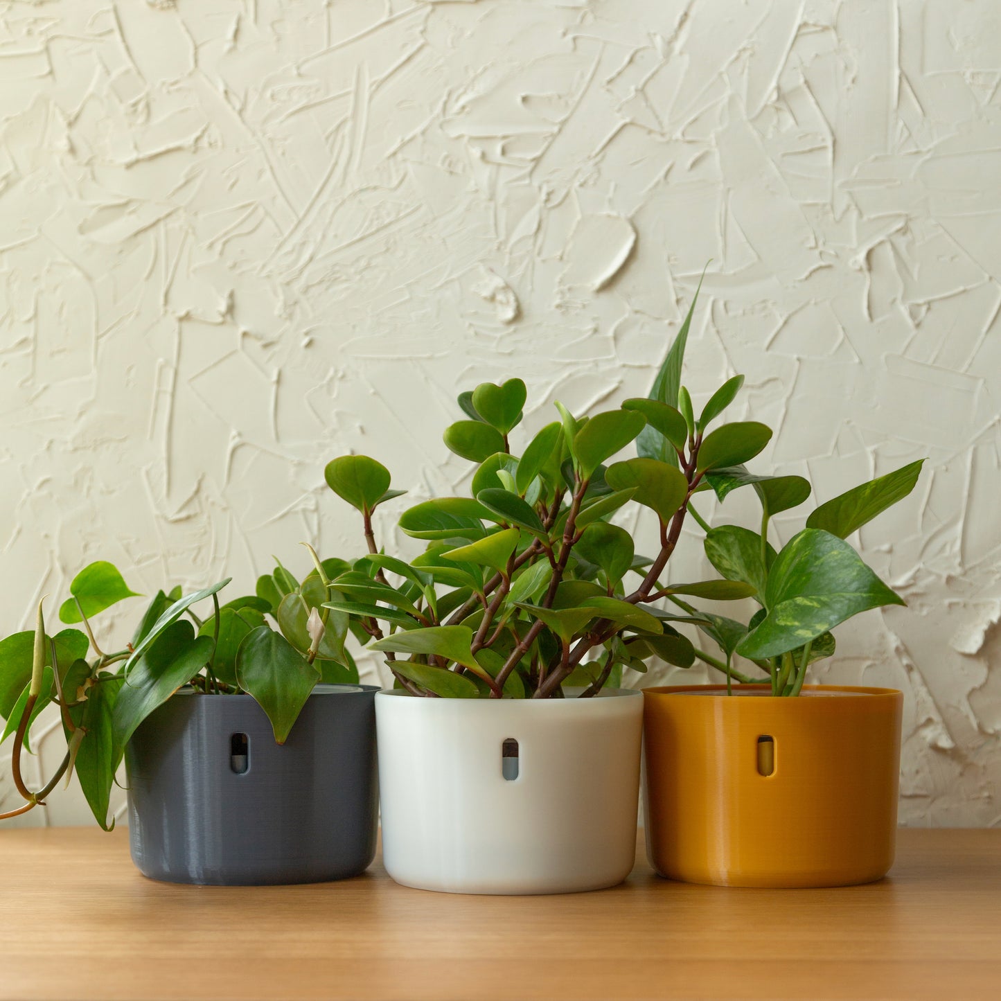 The self watering planter designed to be used with LECA and semi-hydroponics.