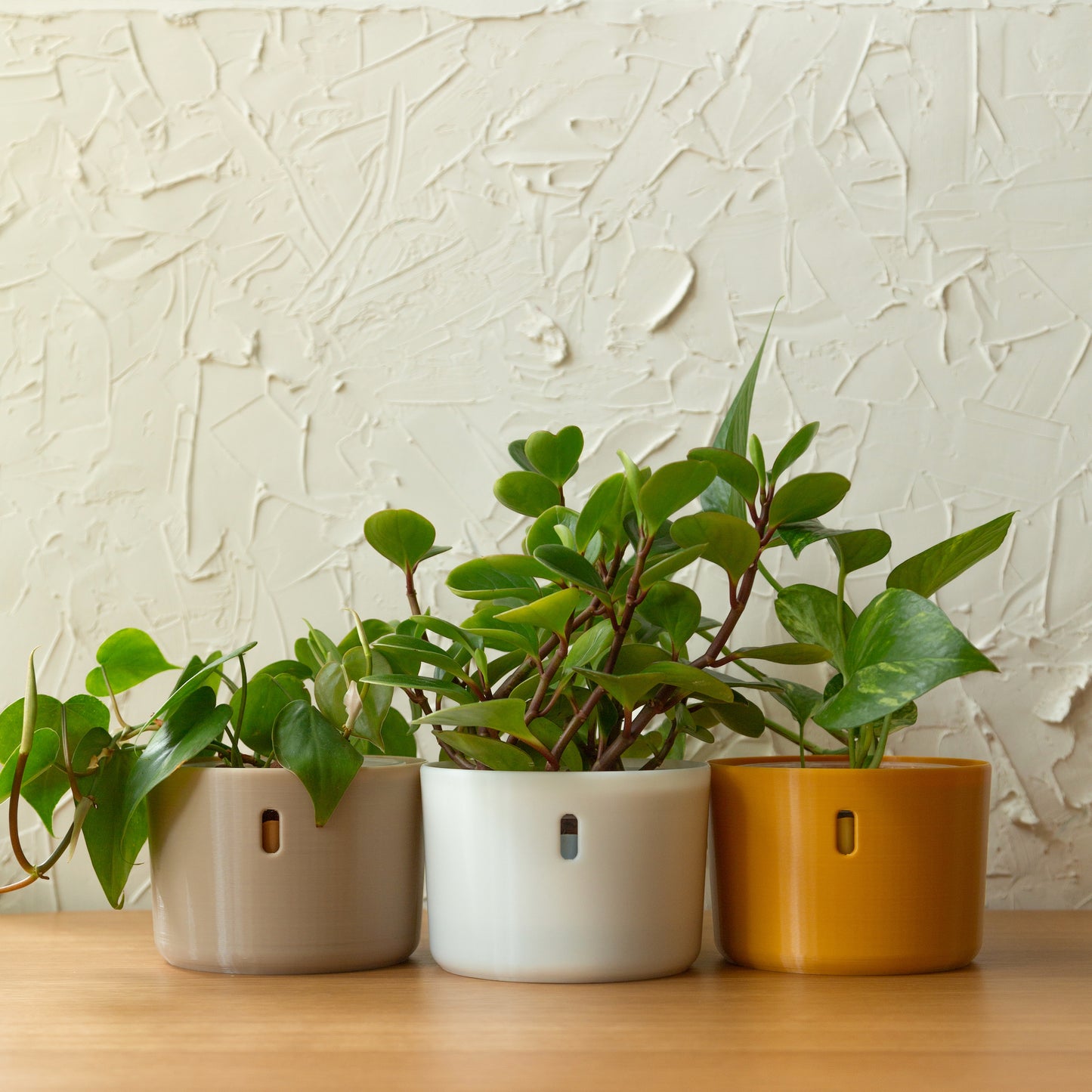 LECA Pots | Hydropot Original 3-pack