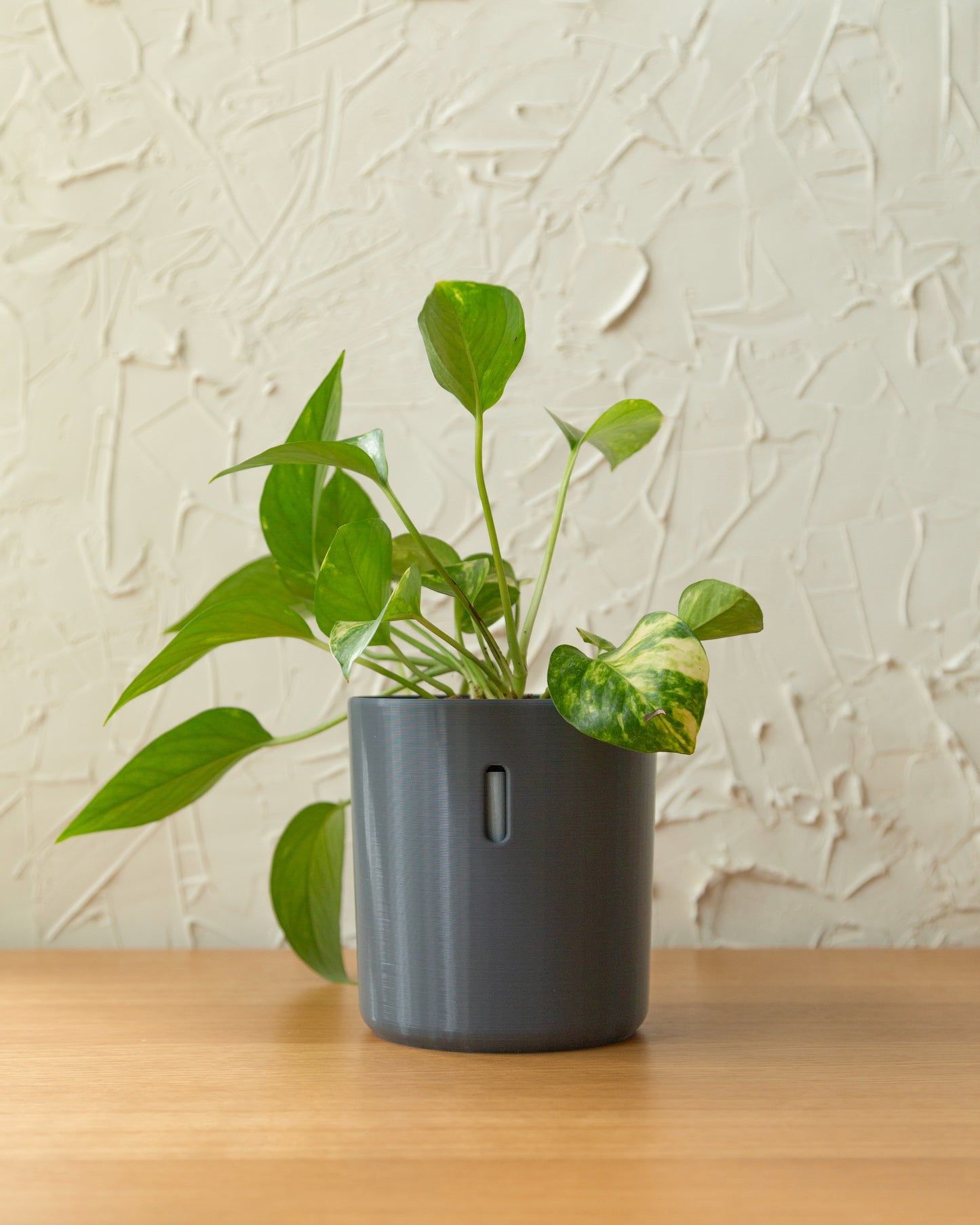 LECA Pot | Hydropot Tall