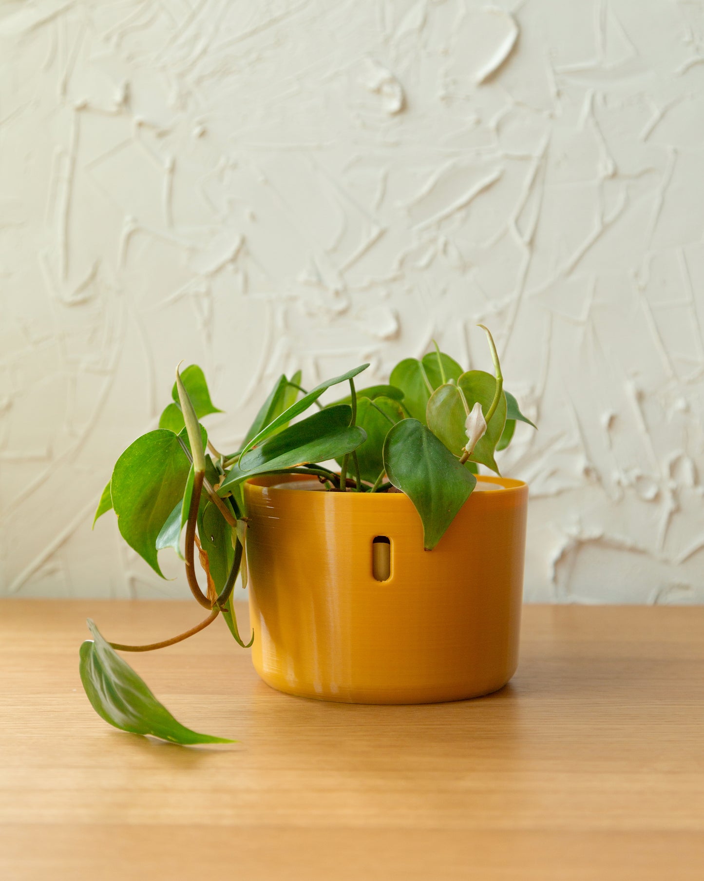 The self watering planter designed to be used with LECA and semi-hydroponics.