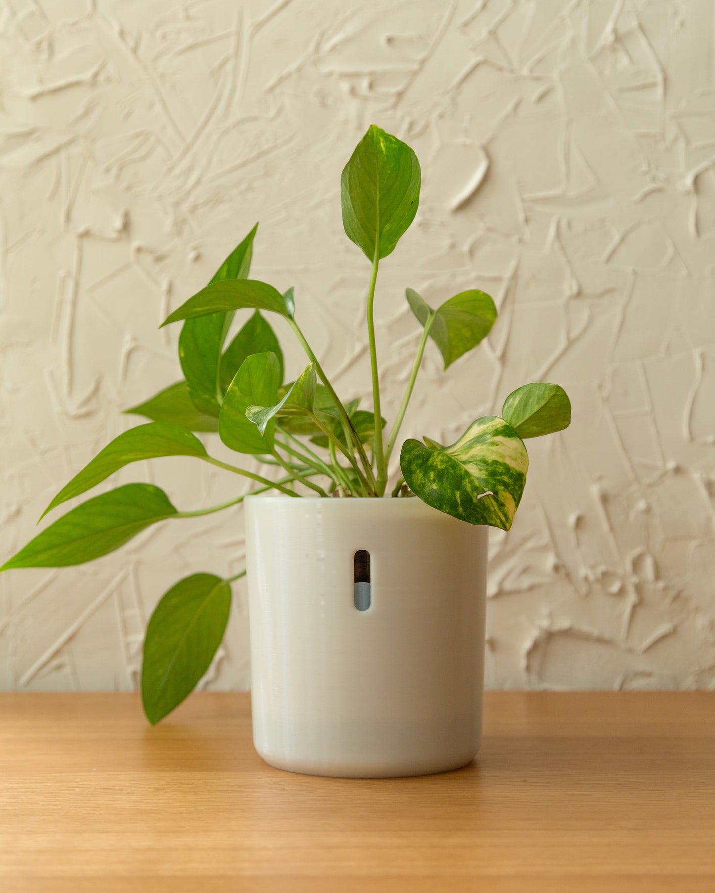 LECA Pot | Hydropot Tall