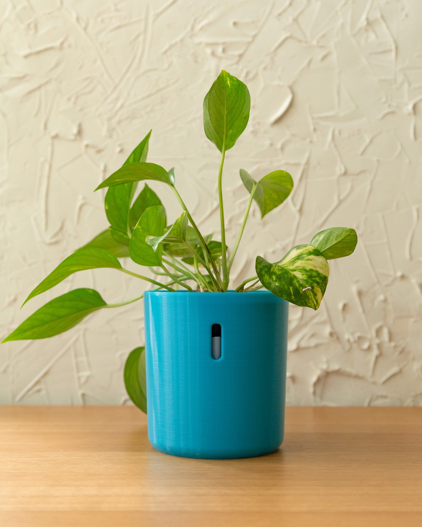 LECA Pot | Hydropot Tall