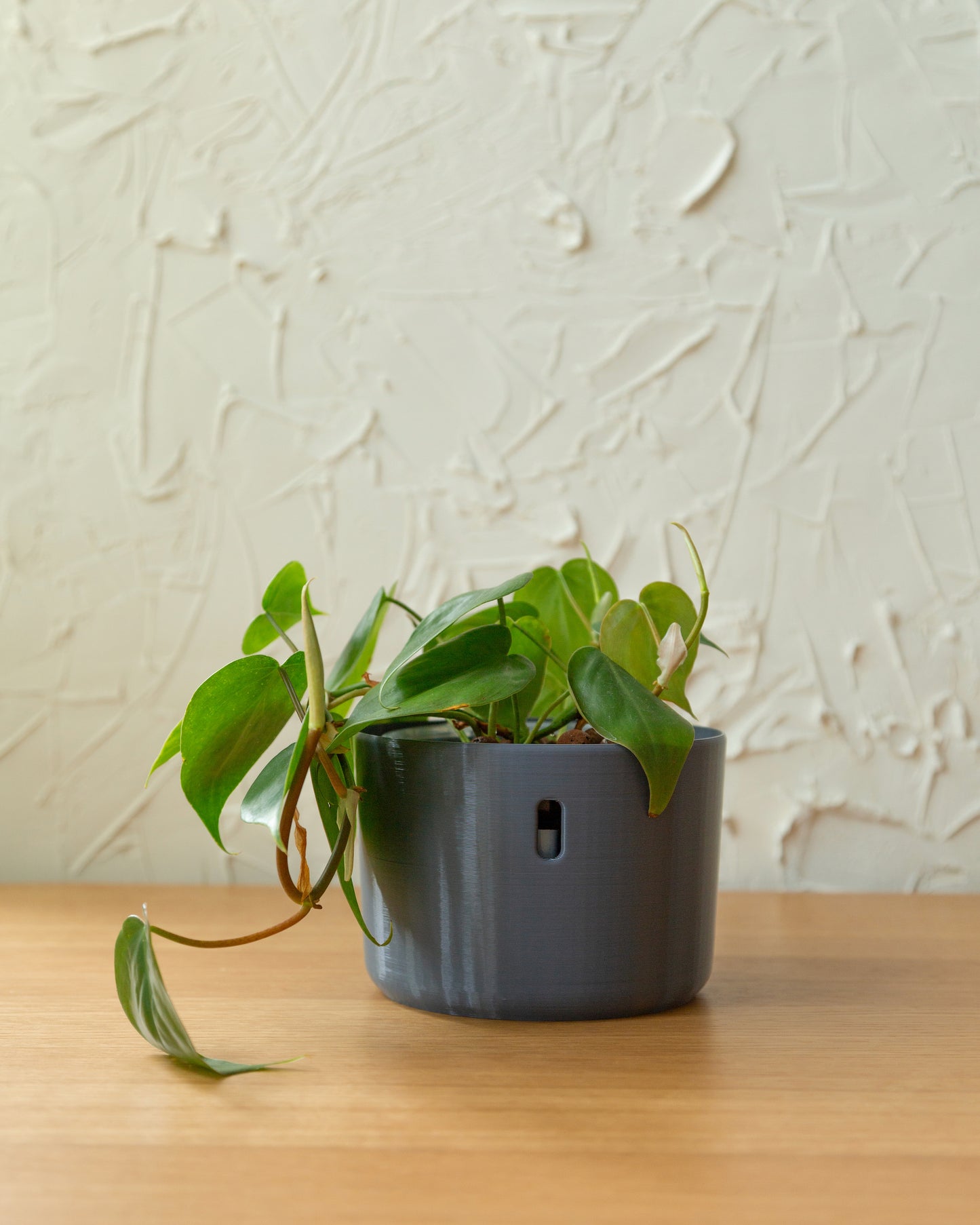 The self watering planter designed to be used with LECA and semi-hydroponics.