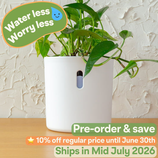 Wavyleaf Self Watering Planter | Water Once and Forget It For a Month | 5.5 inch (Pre-order: Ships Mid July 2026)