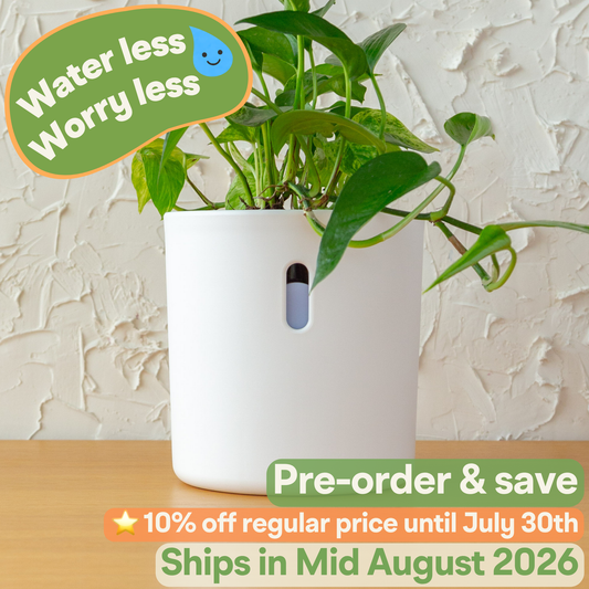 Wavyleaf Self Watering Planter | Water Once and Forget It For a Month | 5.5 inch (Pre-order: Ships Mid August 2026)