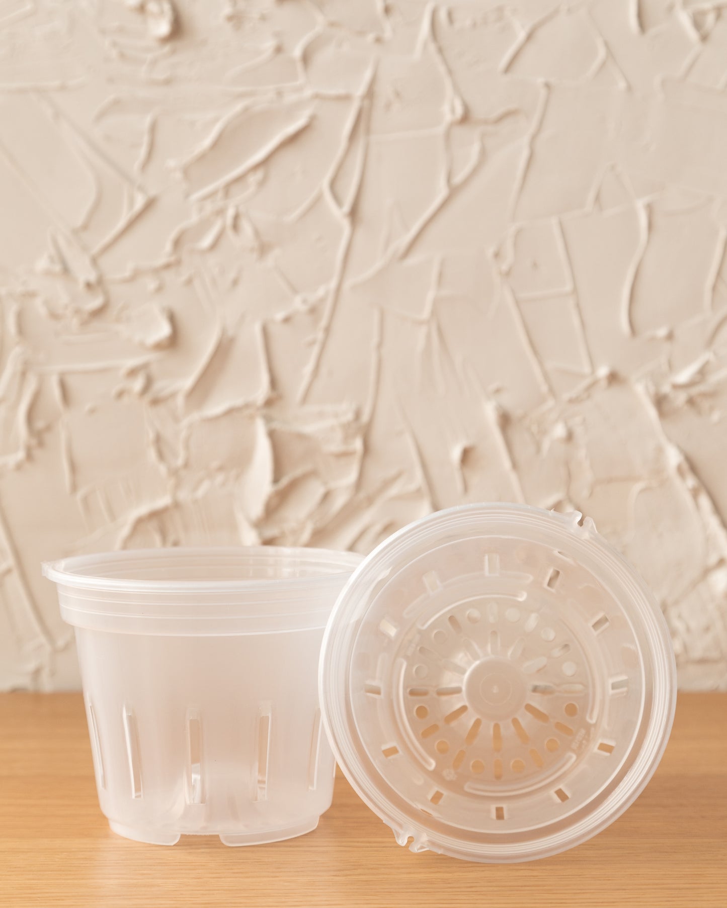 Clear LECA Pot | 3-Pack