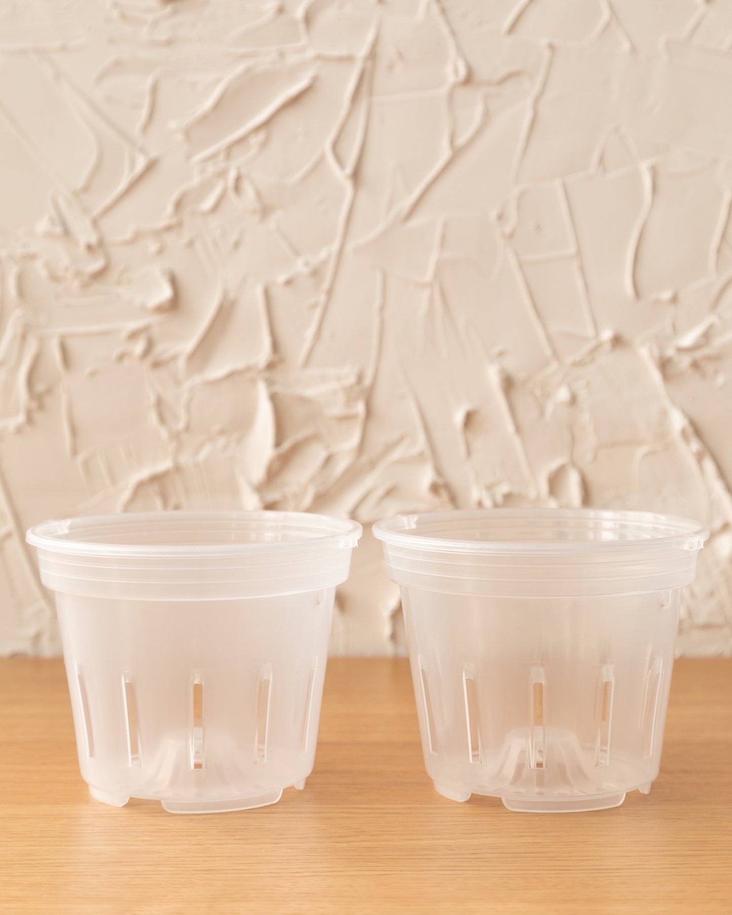 Clear LECA Pot | 3-Pack