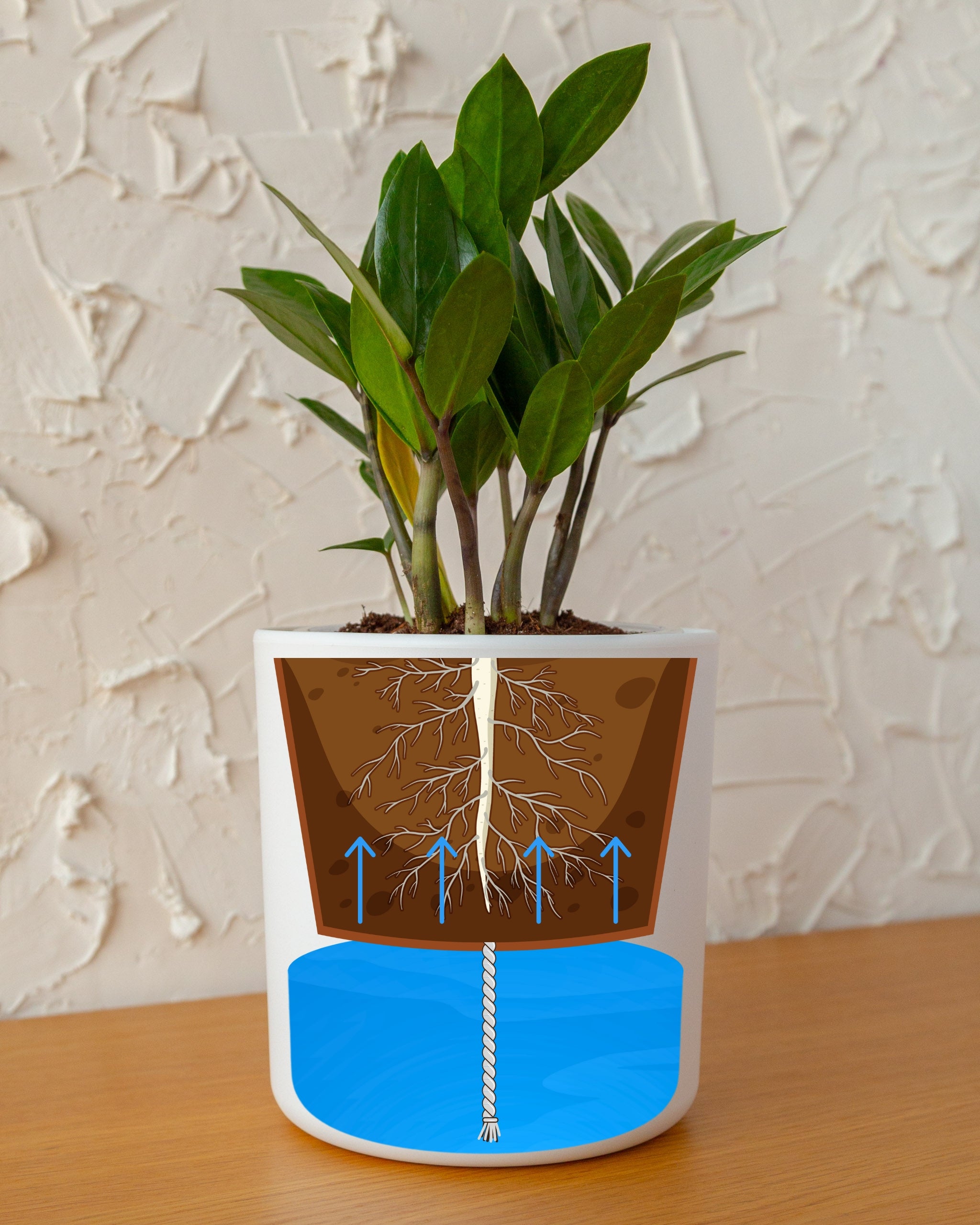 Wavyleaf Self Watering Planter | 5.5 inch