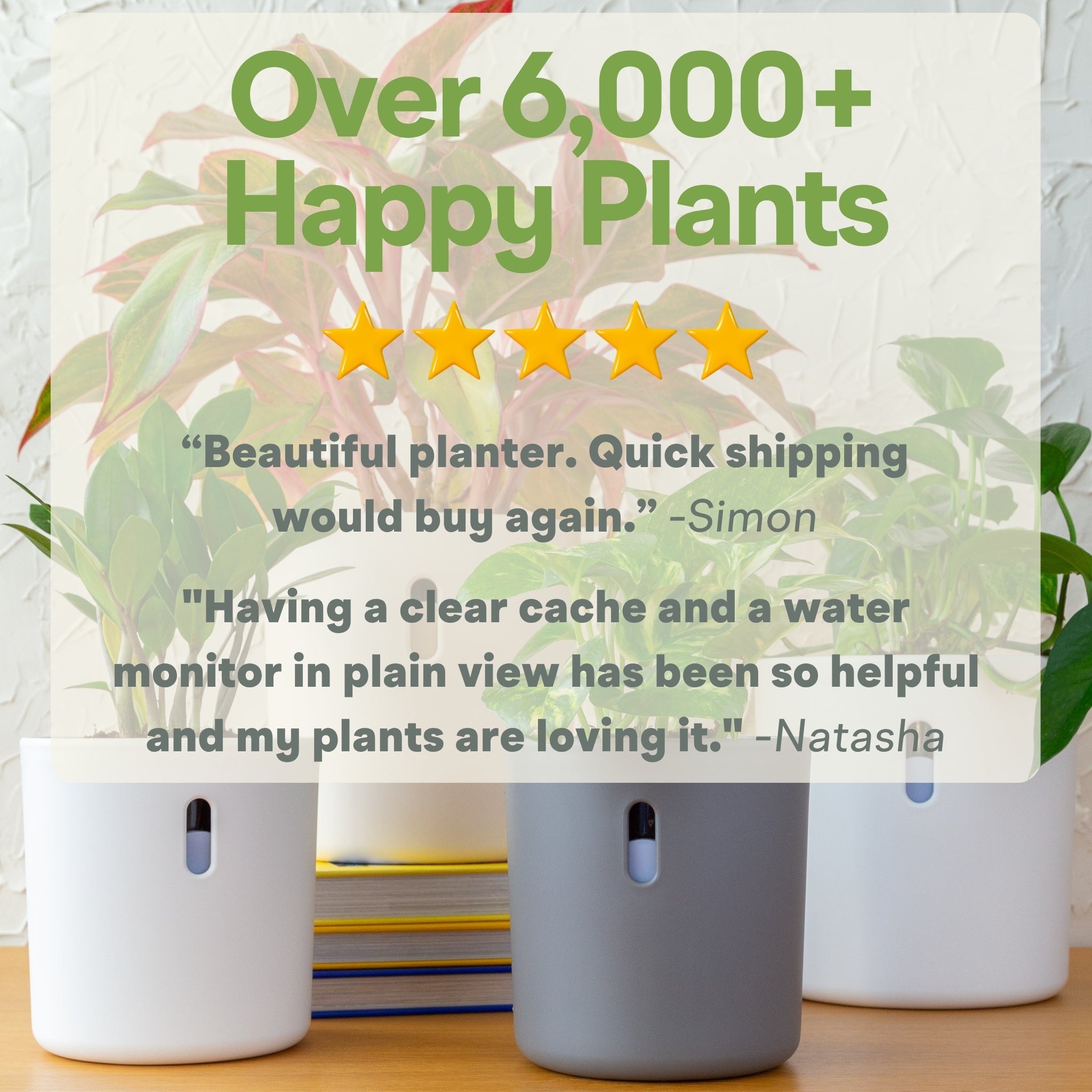 Wavyleaf Self Watering Planter | Water Once and Forget It For a Month | 5.5 inch (Pre-order: Ships Early July 2026)
