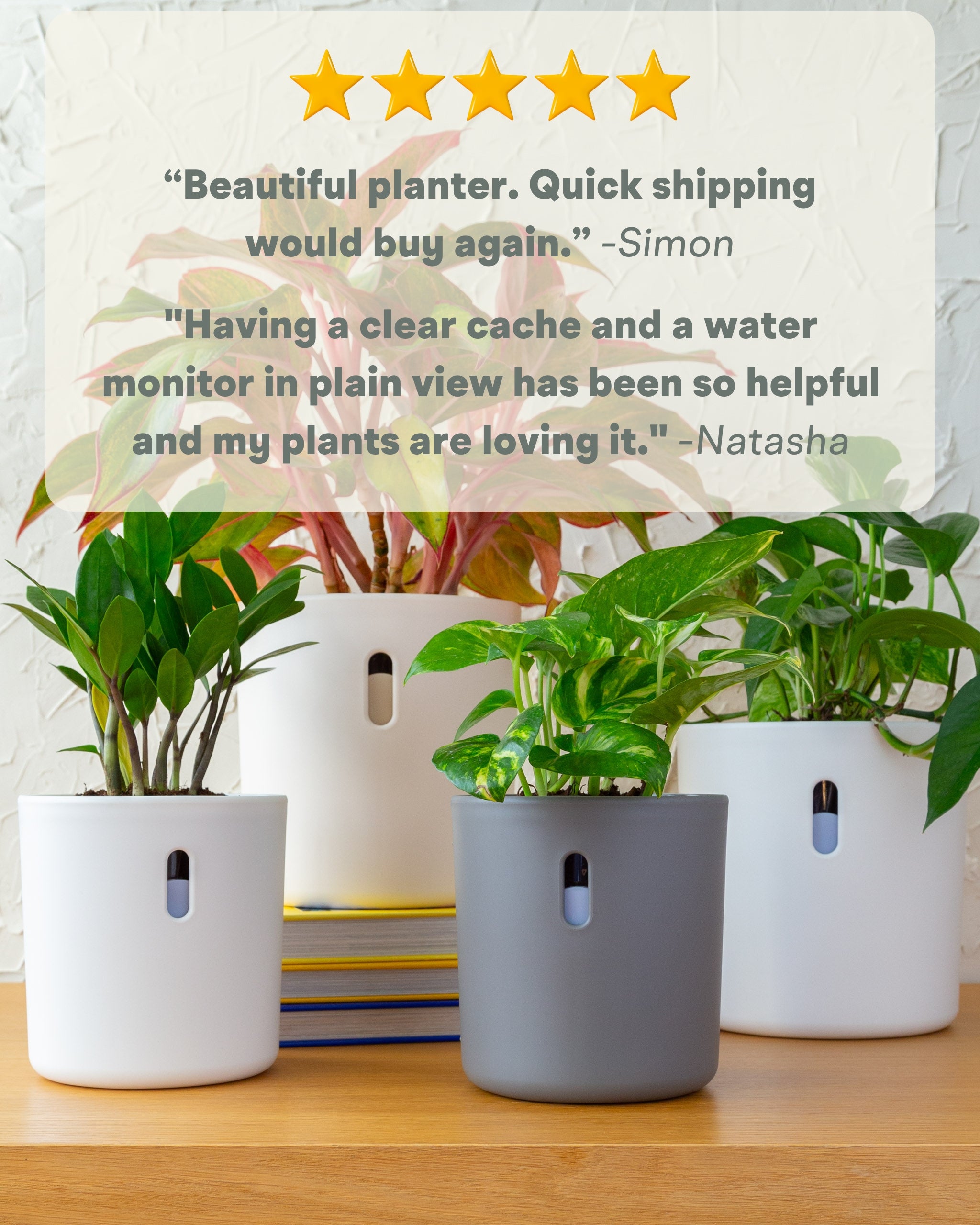 Wavyleaf Self Watering Planter | 5.5 inch