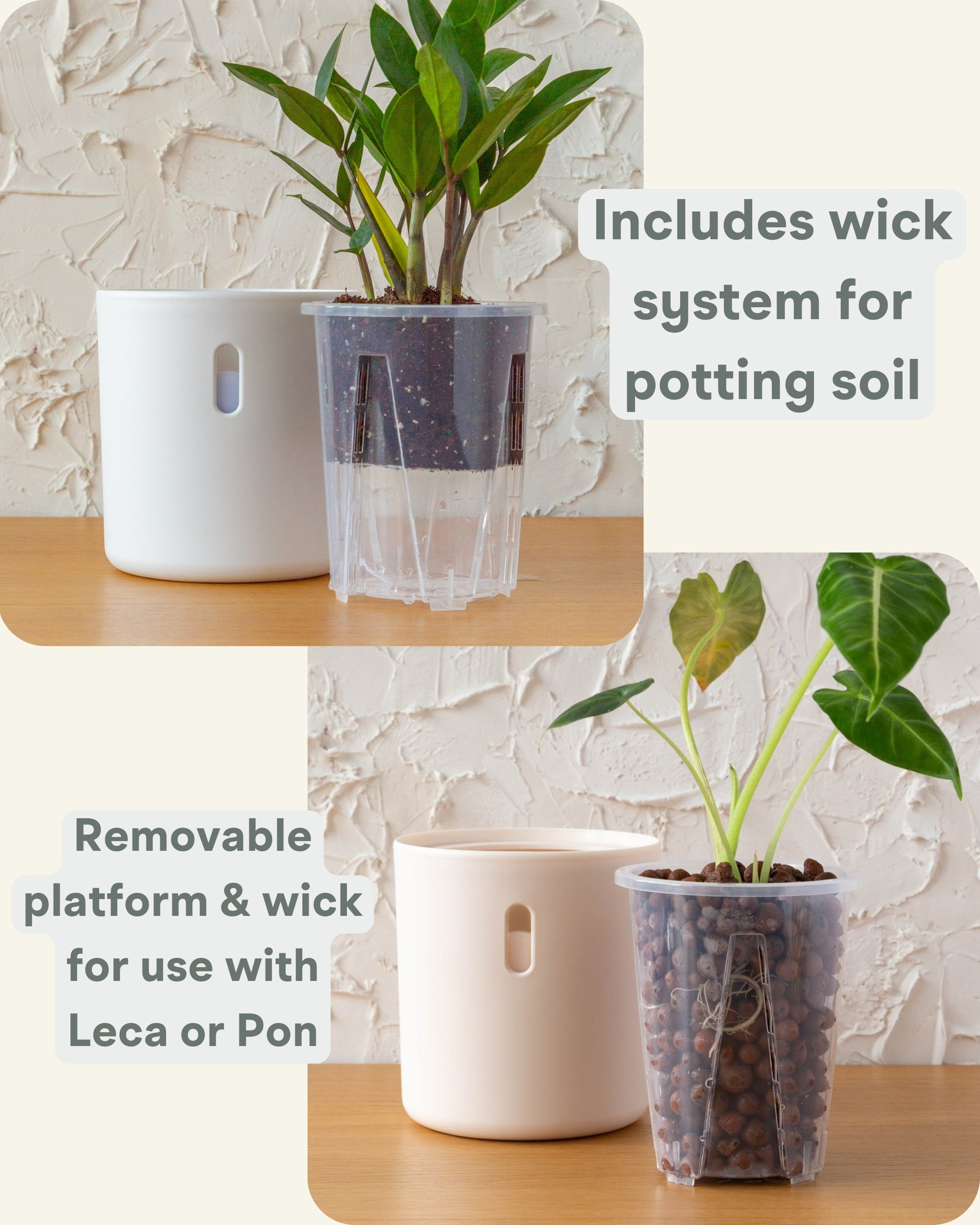 Wavyleaf Self Watering Planter | 5.5 inch