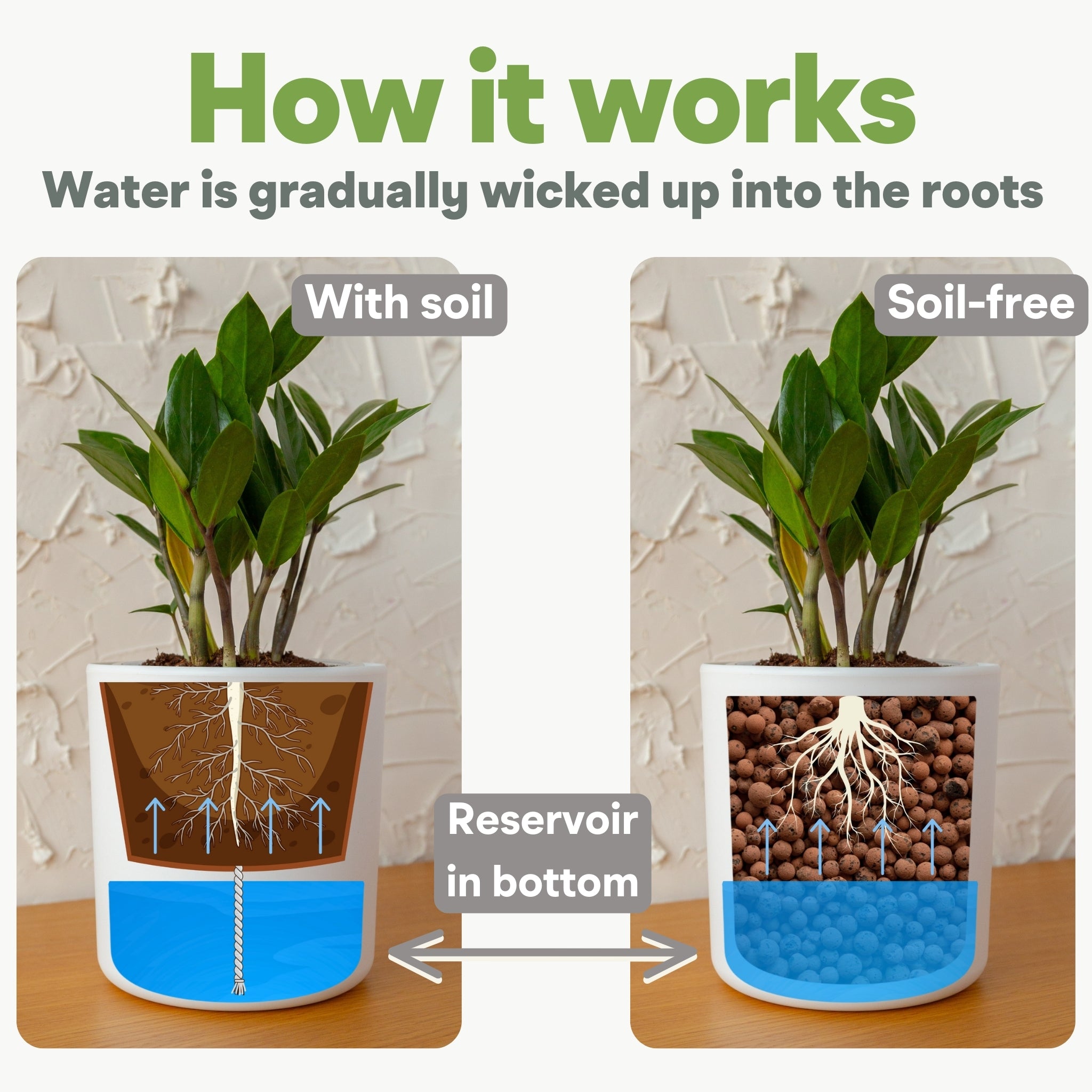 Wavyleaf Self Watering Planter | Water Once and Forget It For a Month | 4 inch