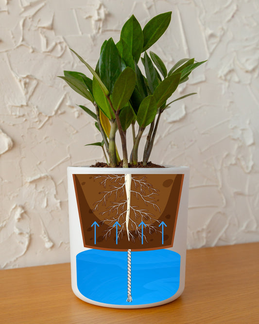 Wavyleaf Self Watering Planter | 4 inch