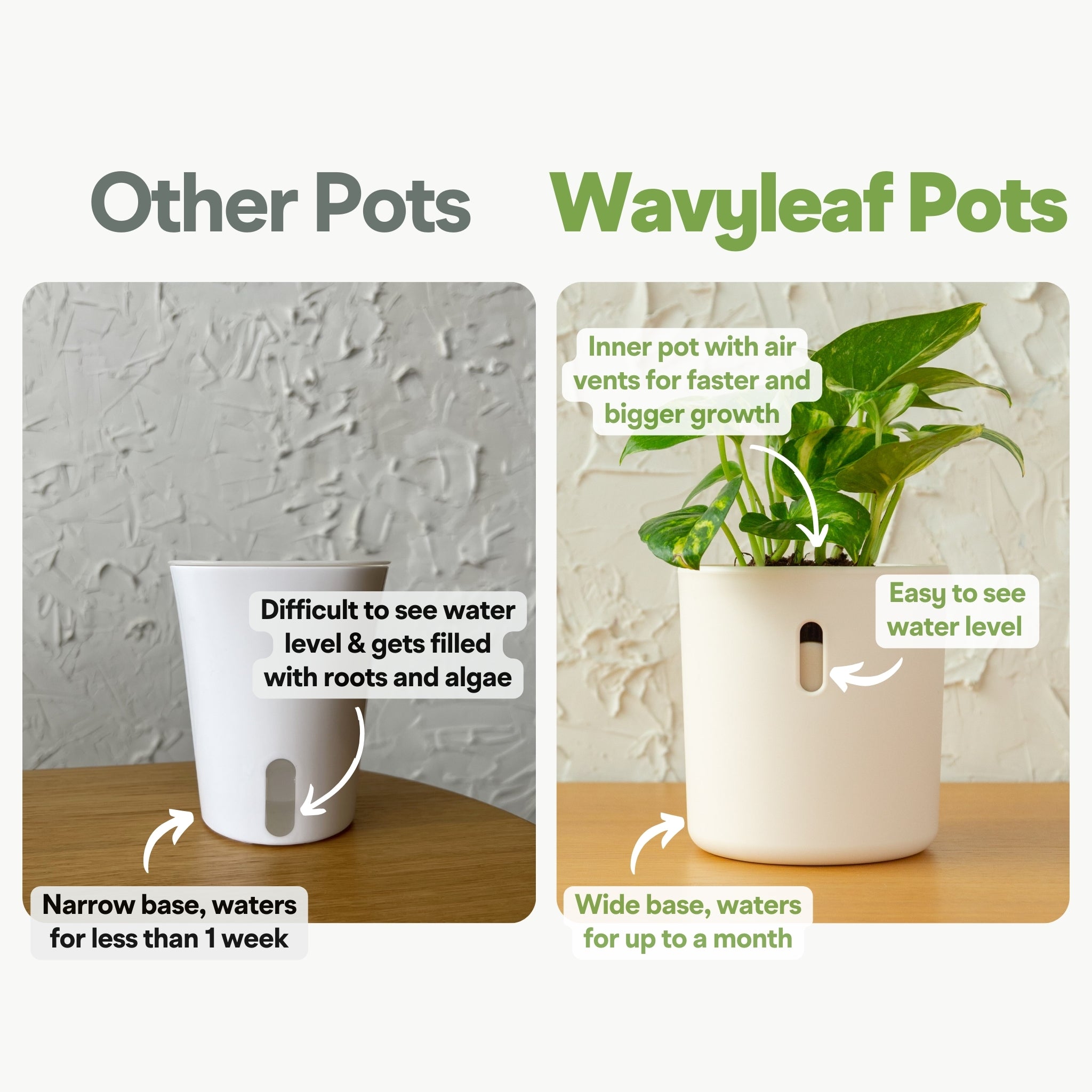 Wavyleaf Self Watering Planter | Water Once and Forget It For a Month | 4 inch