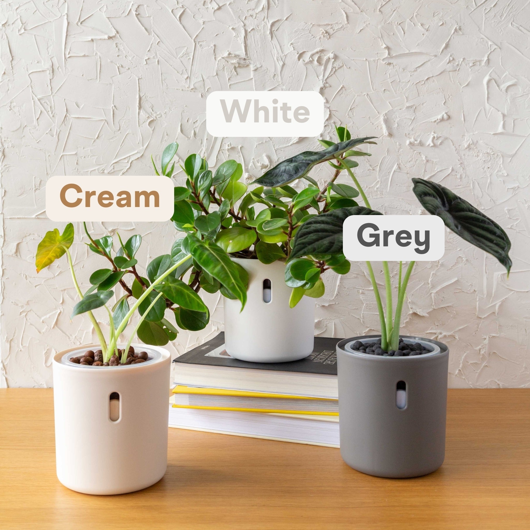Wavyleaf Self Watering Planter | Water Once and Forget It For a Month | 4 inch