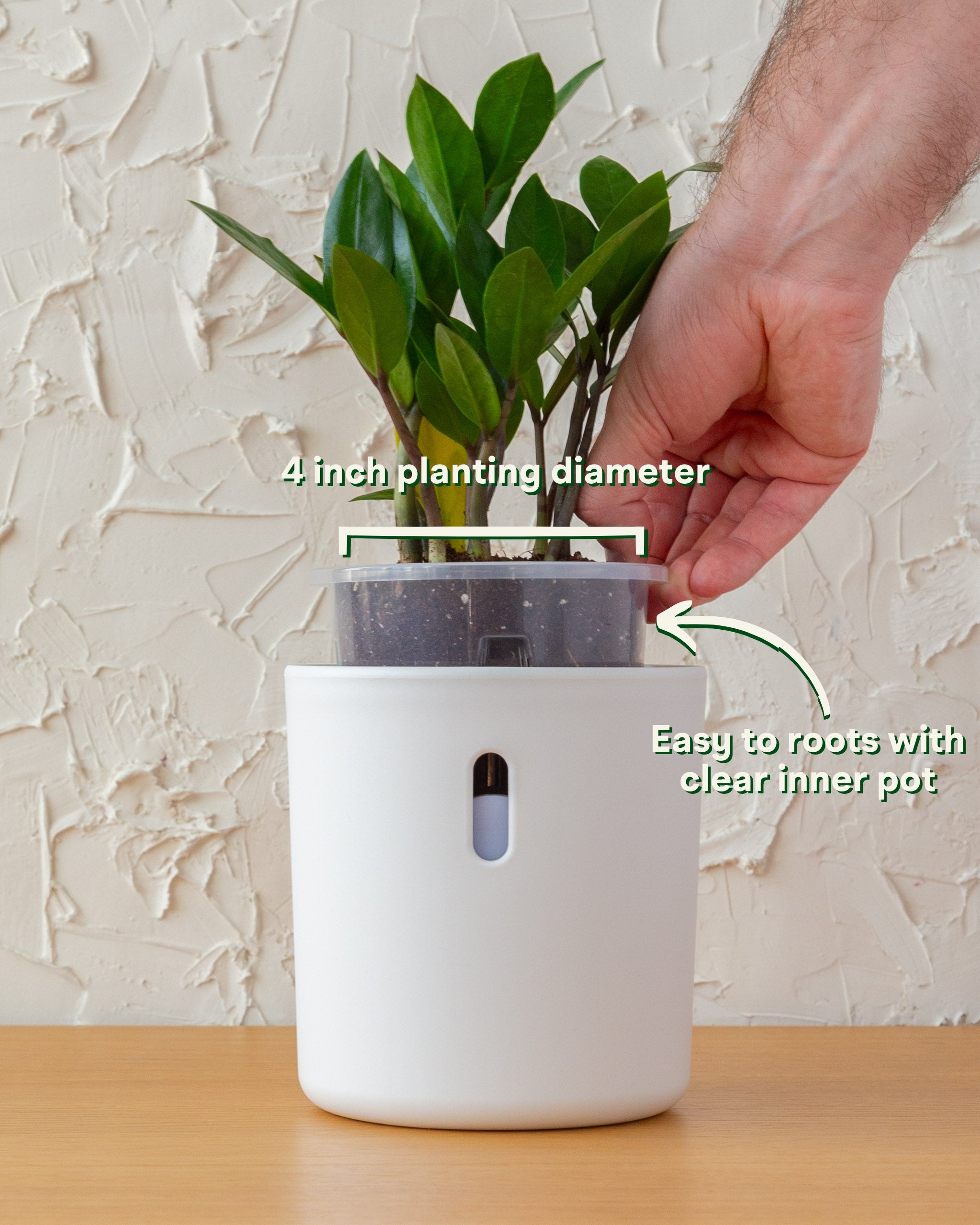 Wavyleaf Self Watering Planter | 4 inch