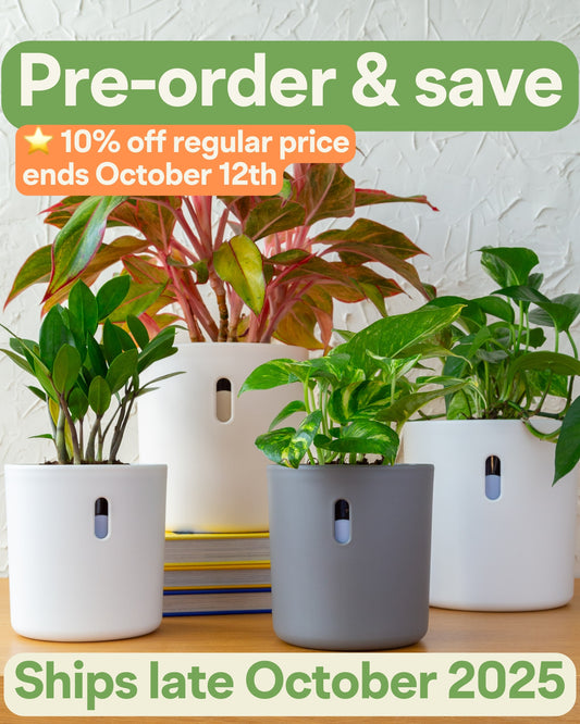 Planter Bundle | 4pk, 6pk, 10pk (Pre-order: Ships Late October 2025)