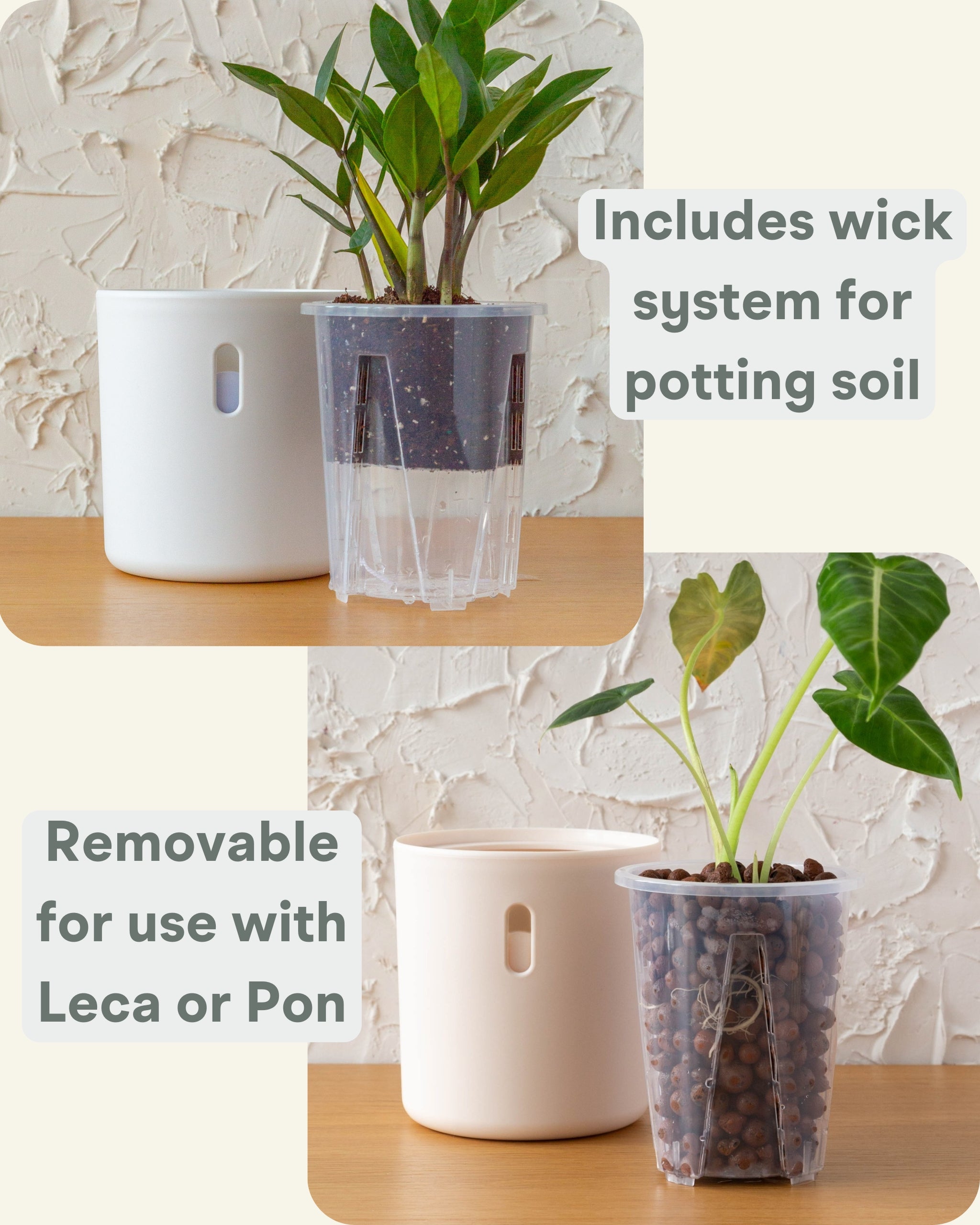 Wavyleaf Self Watering Planter | 4 inch