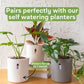 Leca Clay Balls for Plants | Pre-washed to Remove Dust