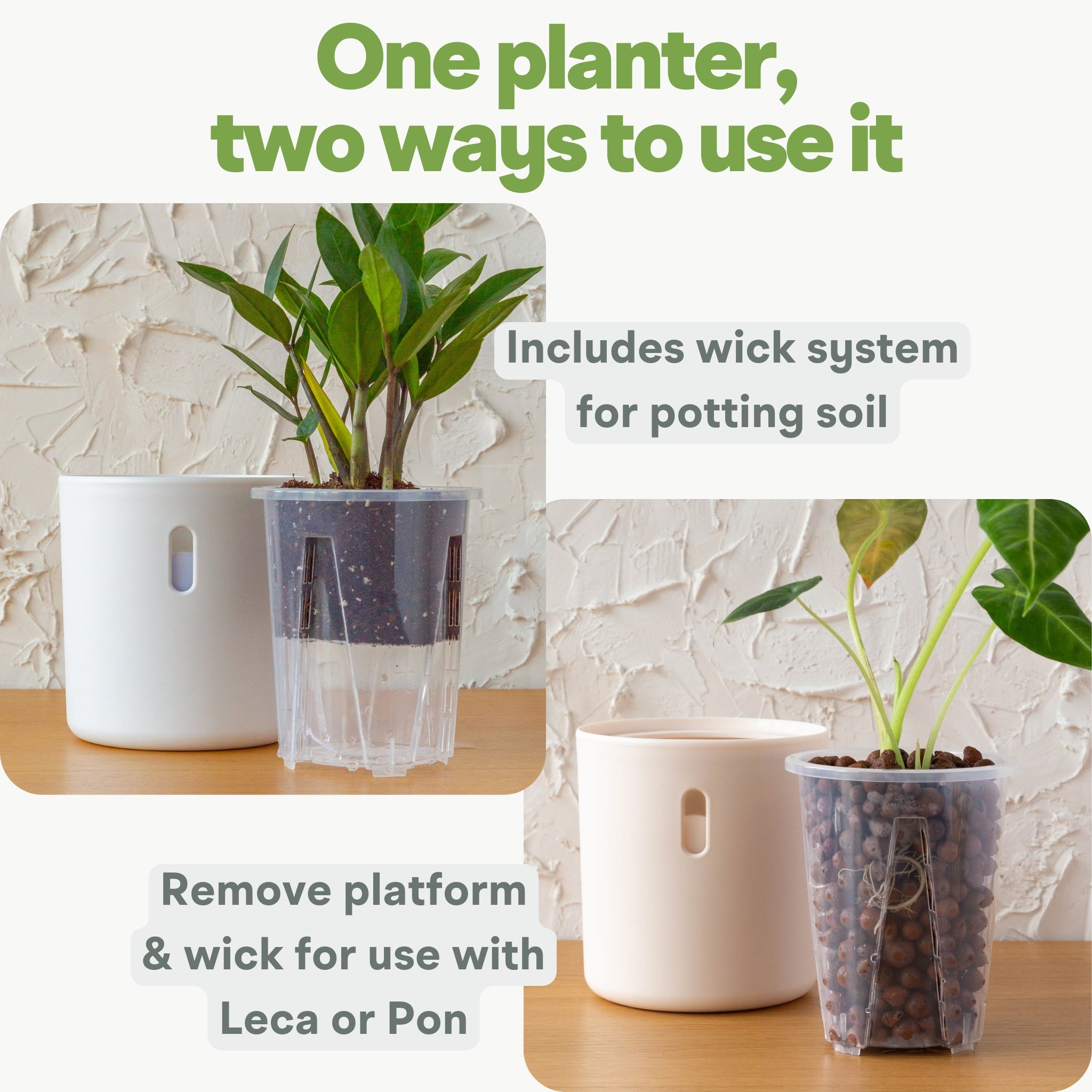 Wavyleaf Self Watering Planter | Water Once and Forget It For a Month | 4 inch