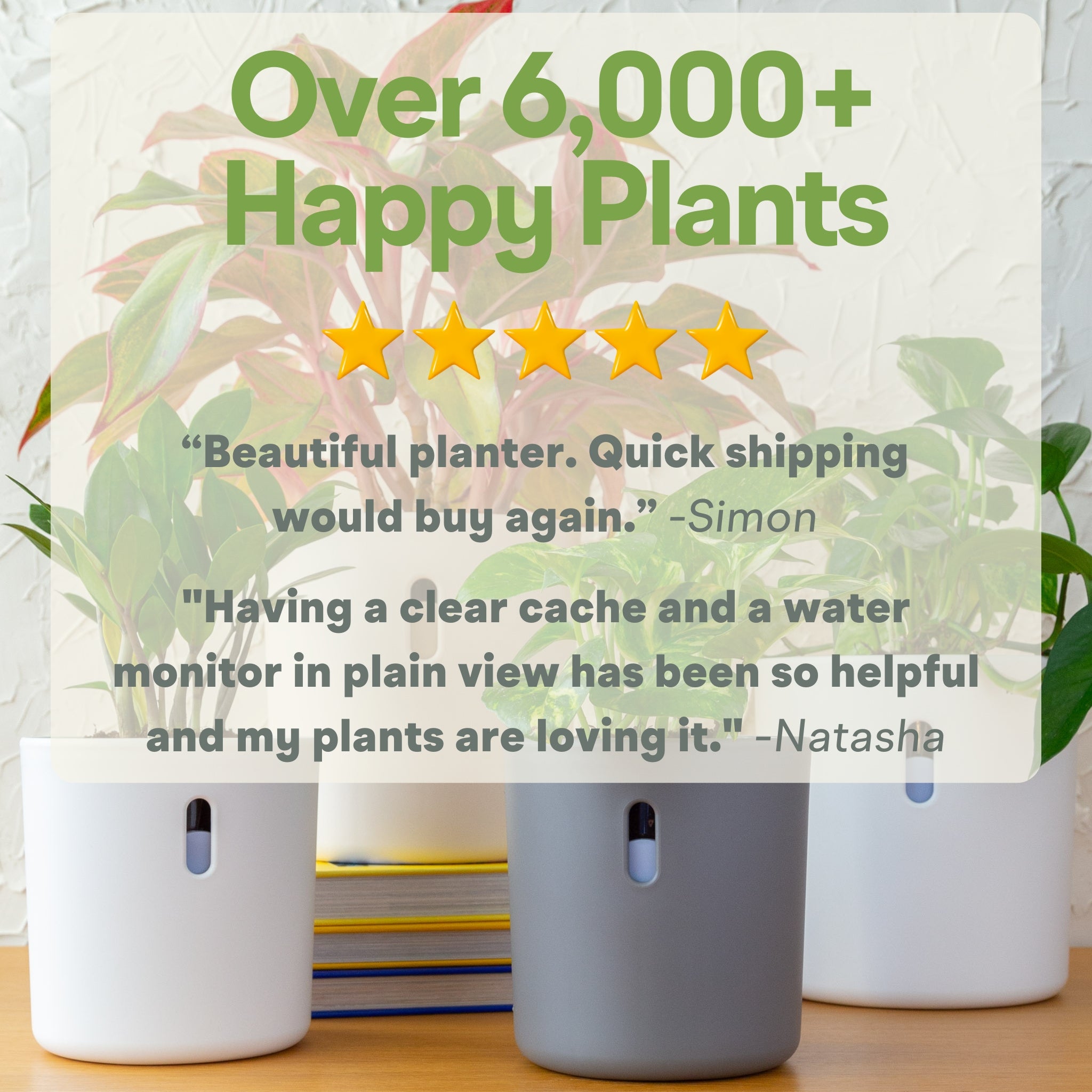 Wavyleaf Self Watering Planter | Water Once and Forget It For a Month | 4 inch