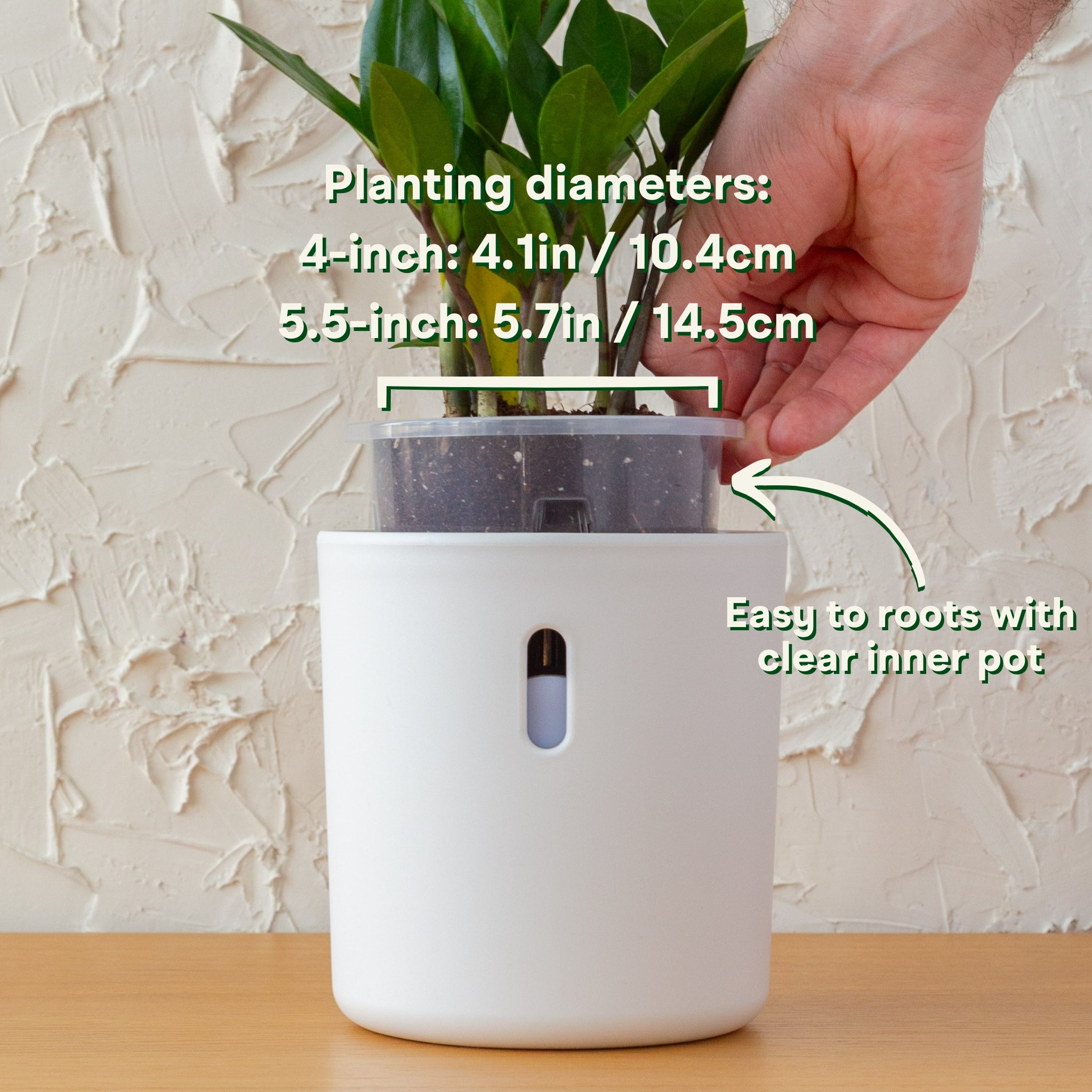 Wavyleaf Self Watering Planter | Water Once and Forget It For a Month | 4 inch