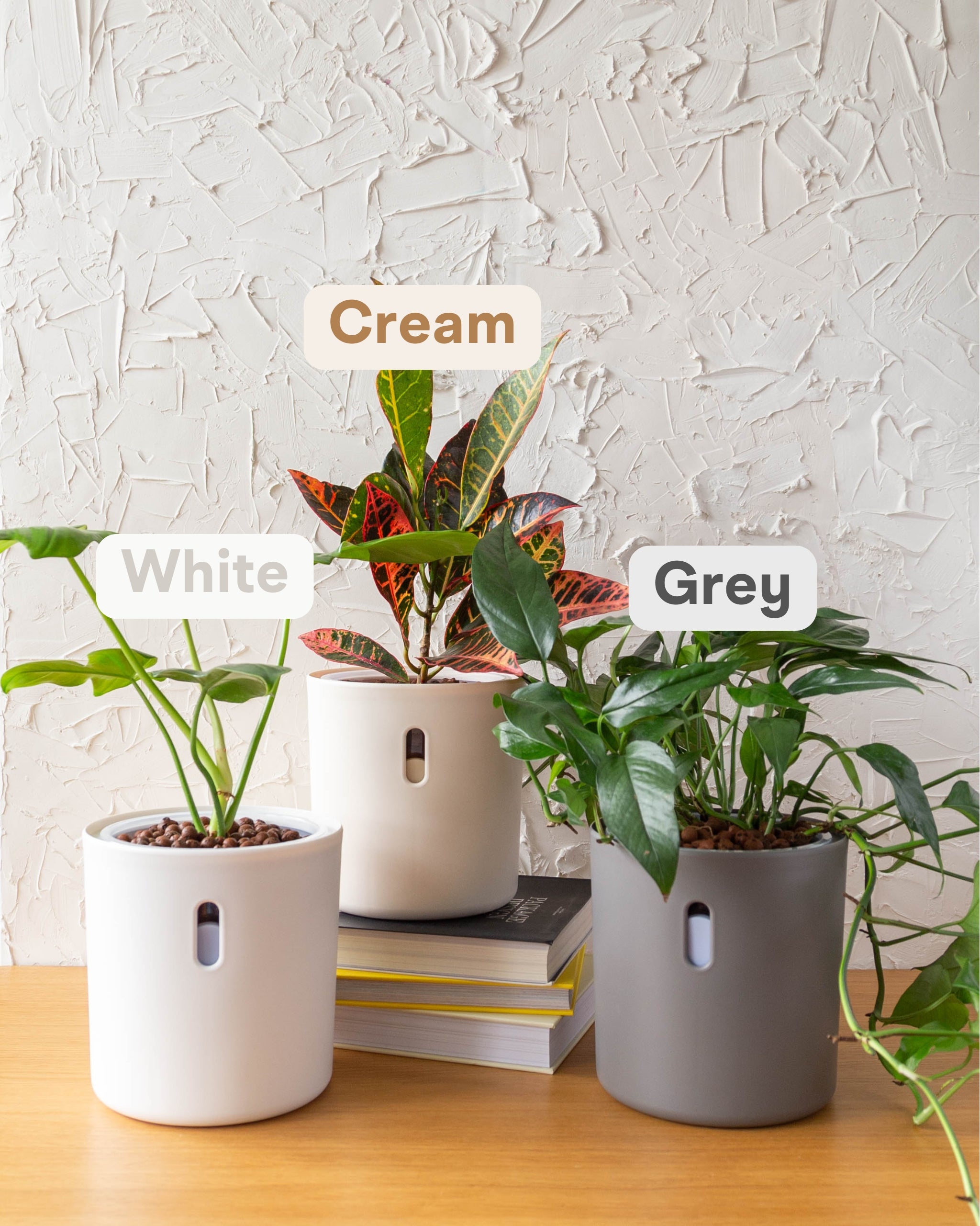 LECA Pots | Semi hydro planters