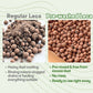 Leca Clay Balls for Plants | Pre-washed to Remove Dust