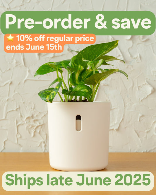 Wavyleaf Self Watering Planter | 4 inch (Pre-order: Ships Late June 2025)