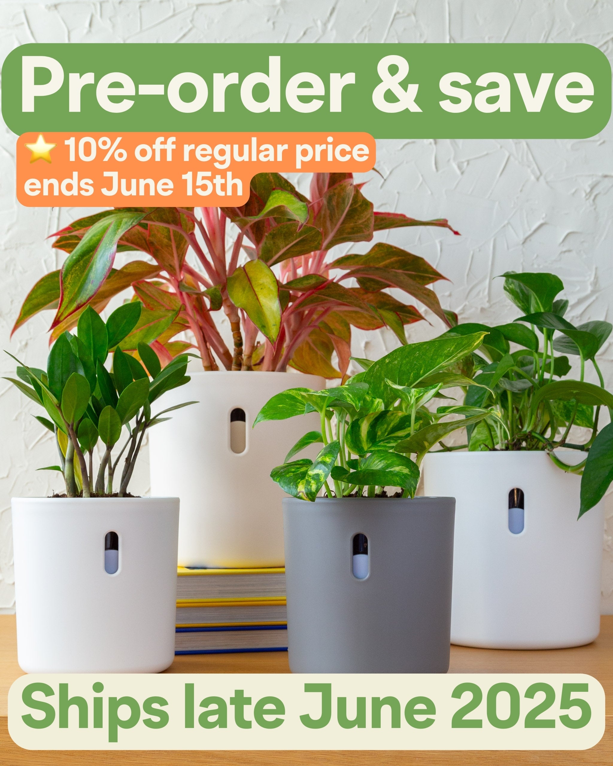Planter Bundle | 4pk, 6pk, 10pk (Pre-order: Ships Late June 2025)