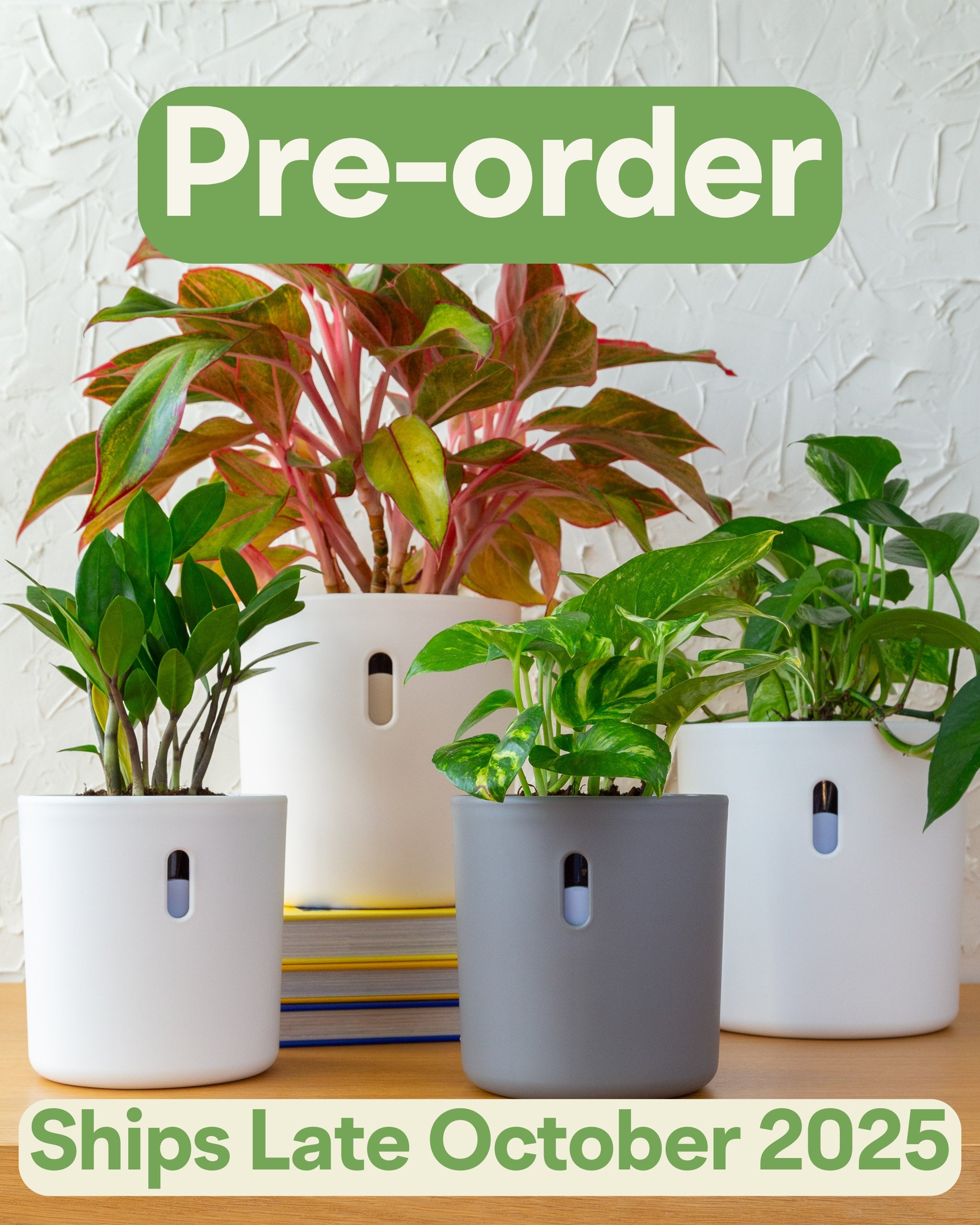 Planter Bundle | 4pk, 6pk, 10pk (Pre-order: Ships Late October 2025)