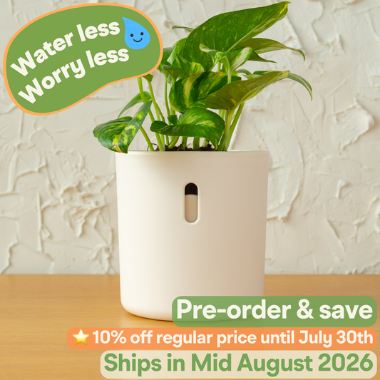 Wavyleaf Self Watering Planter | Water Once and Forget It For a Month | 4 inch (Pre-order: Ships Mid August 2026)