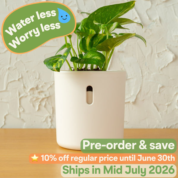 Wavyleaf Self Watering Planter | Water Once and Forget It For a Month
