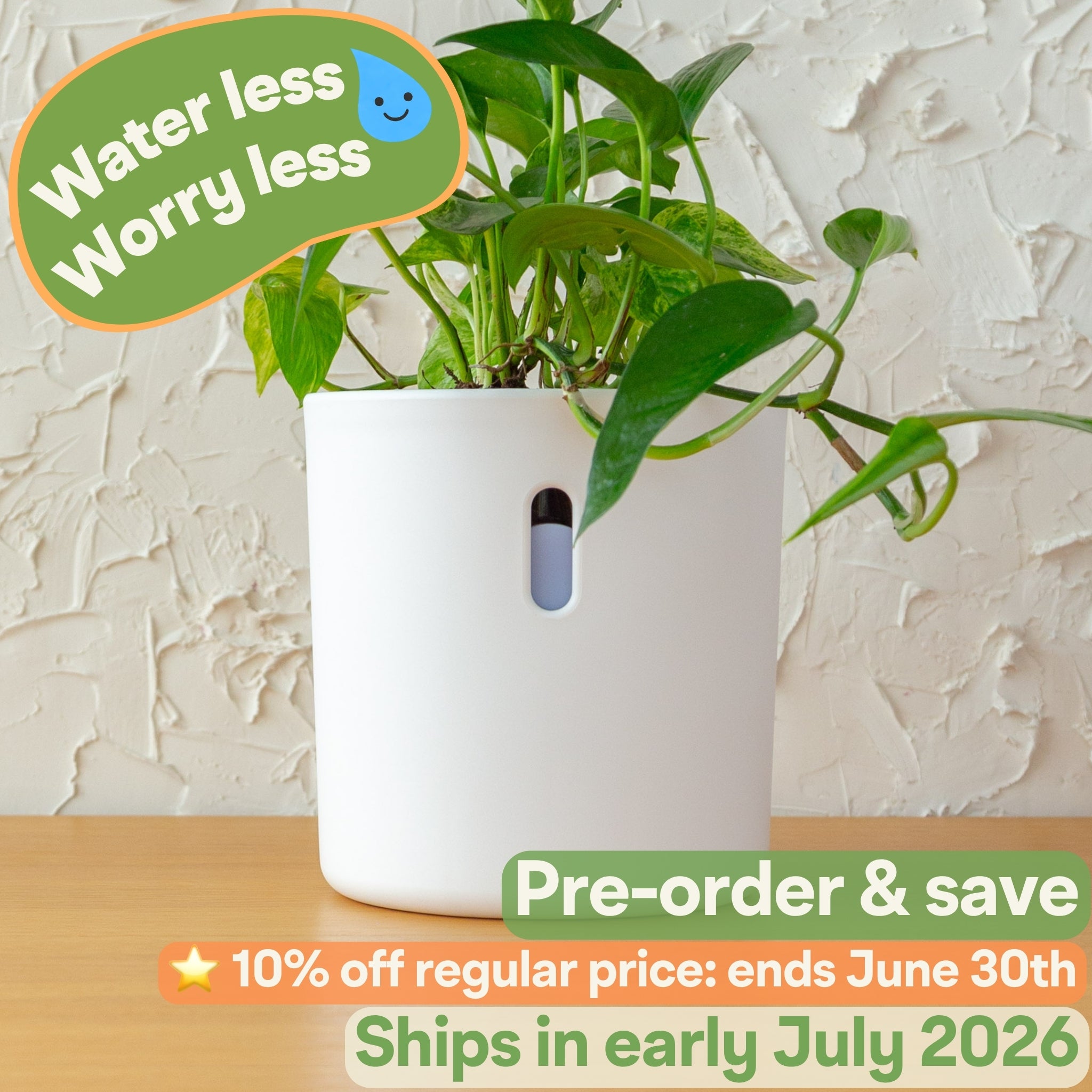 Wavyleaf Self Watering Planter | Water Once and Forget It For a Month | 5.5 inch (Pre-order: Ships Early July 2026)
