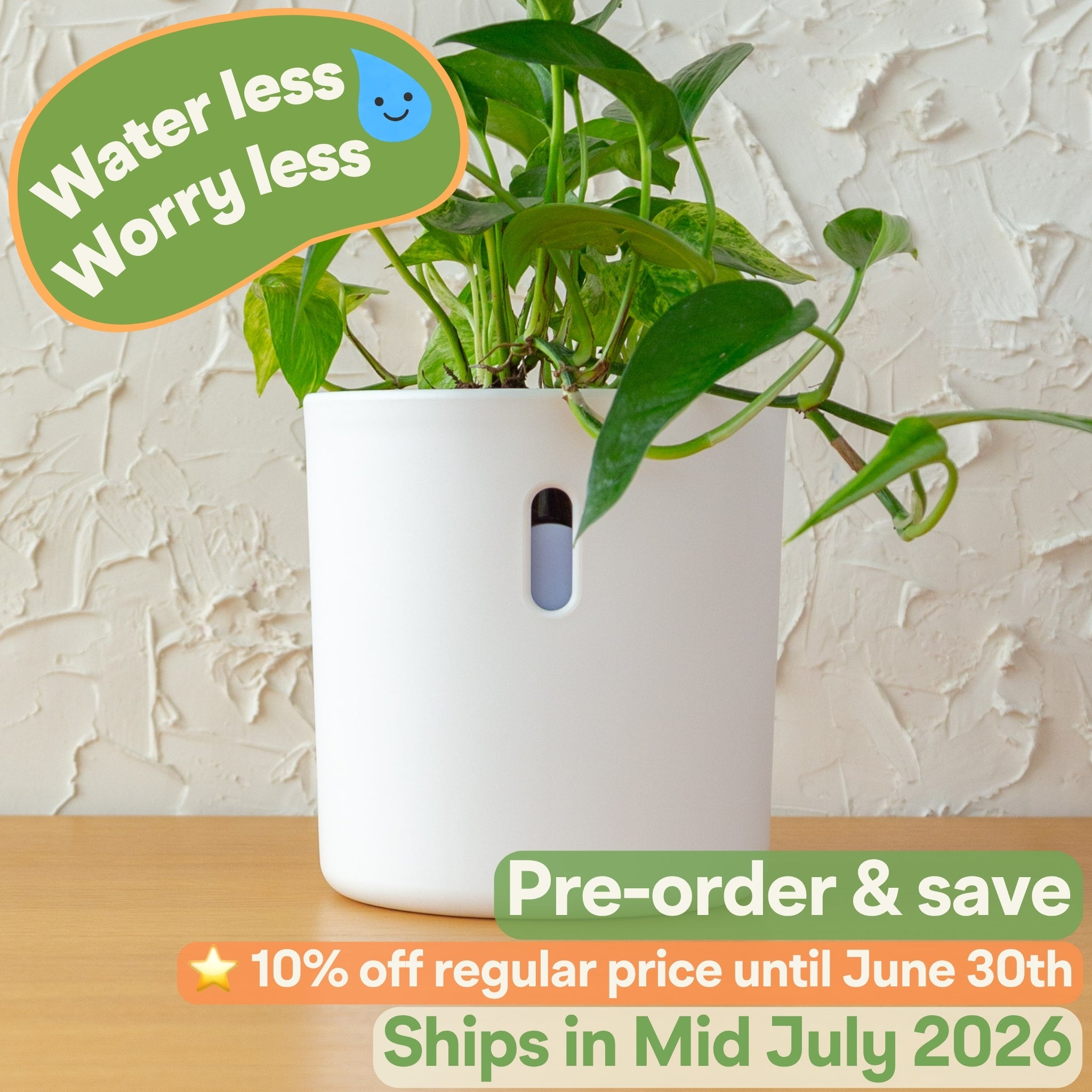 Wavyleaf Self Watering Planter | Water Once and Forget It For a Month | 5.5 inch (Pre-order: Ships Mid July 2026)
