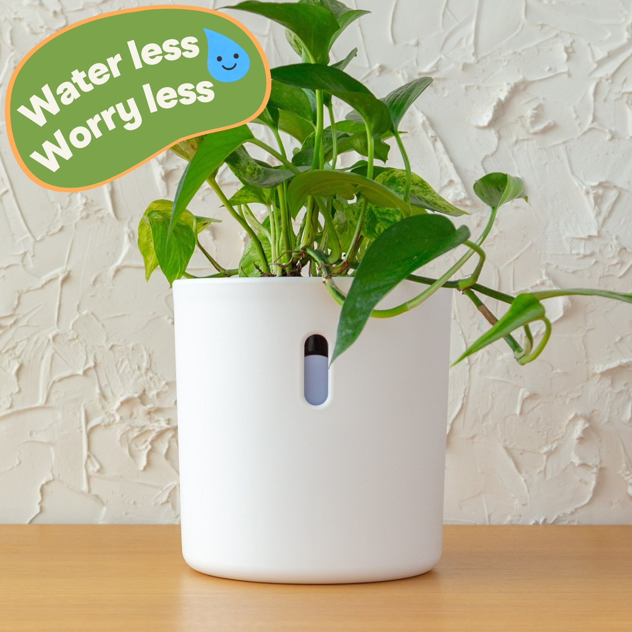 Wavyleaf Self Watering Planter | Water Once and Forget It For a Month | 5.5 inch