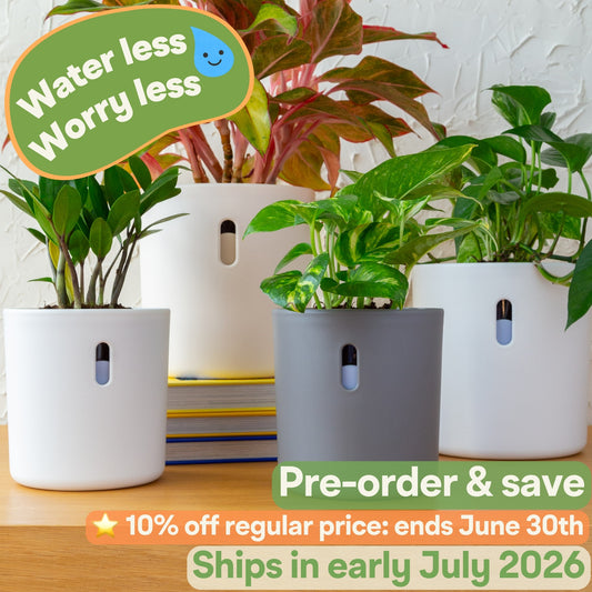 Planter Bundle | 4pk, 6pk, 10pk (Pre-order: Ships Early July 2026)